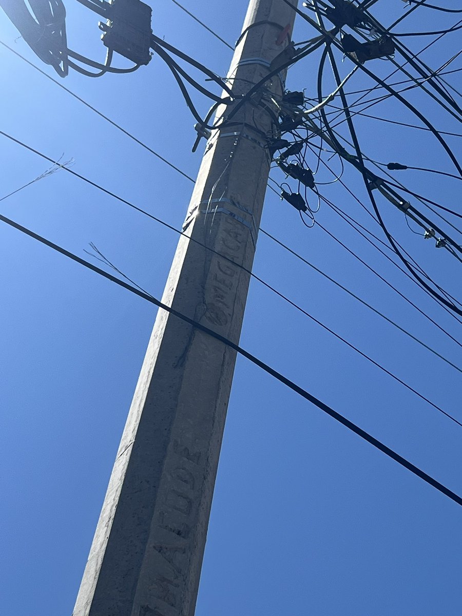 ColomosProvi tweet media