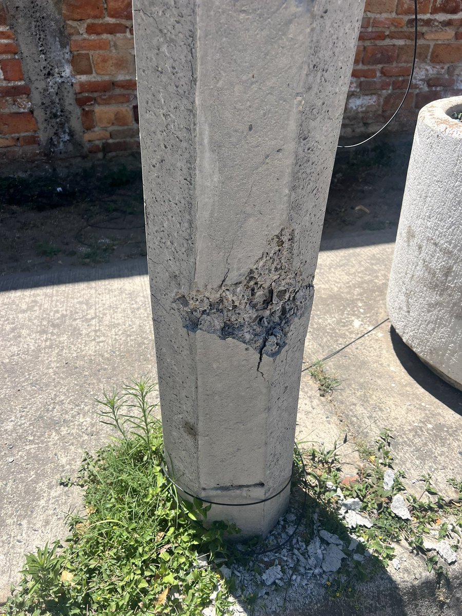 ColomosProvi tweet media