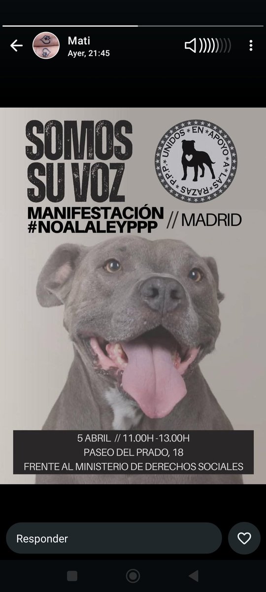 APAPAlcala's tweet photo. MANIFESTACIÓN #NOALALEYPPP EN #MADRID Desde @APAPAlcala apoyamos la derogación de una ley que estigmatiza y resta oportunidades a los perros con una etiqueta que tienen desde que nacen 💔
📅 5 abril
🕚 11.00h
👉🏻 Paseo del Prado 18
#stopleyppp #simplementeperros https://t.co/0JlBF5KUuH