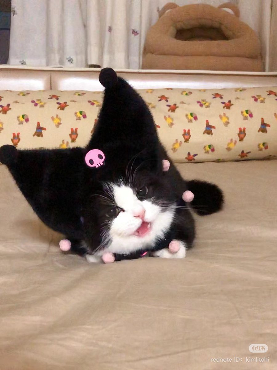 Kuromi kitty