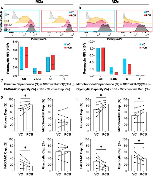 Project 2 in <a href="/PNASNexus/">PNAS Nexus</a>: Polychlorinated biphenyls induce immunometabolic switch of antiinflammatory macrophages toward an inflammatory phenotype <a href="/rileybehanbush/">Riley Behan-Bush</a> <a href="/JamesAnkrum/">James Ankrum</a> <a href="/michaelschrodt/">Michael Schrodt</a> <a href="/LauraBitterlich/">Laura Bitterlich 🏳️‍🌈</a> <a href="/KEnglishLab/">Prof Karen English</a> <a href="/iowabme/">Iowa BME</a> #NIEHSfunded academic.oup.com/pnasnexus/arti…