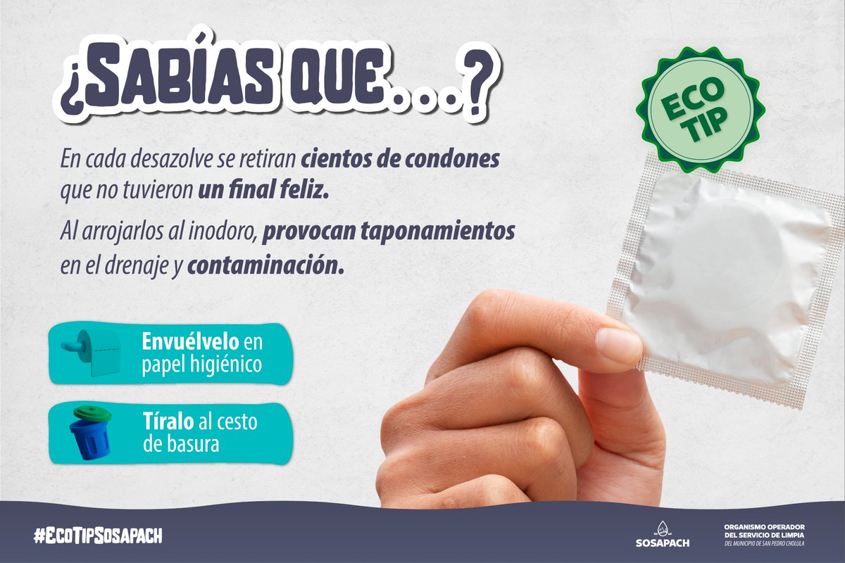 🍃 #EcoTipSOSAPACH | No tires condones al inodoro 🚫🚽

🌍 Pequeñas acciones hacen una gran diferencia. ¡Cuidemos nuestro sistema de drenaje! 💧♻️
#CholulaFluye #TransformaciónHídrica