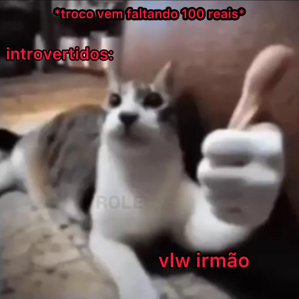 rolealeatorio's tweet image. 