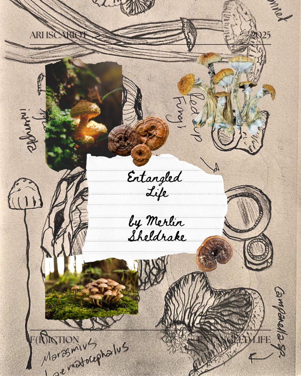 F(r)iction tweet media