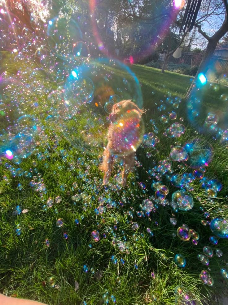 ᅠ ᅠ (@greendreaams) on Twitter photo 