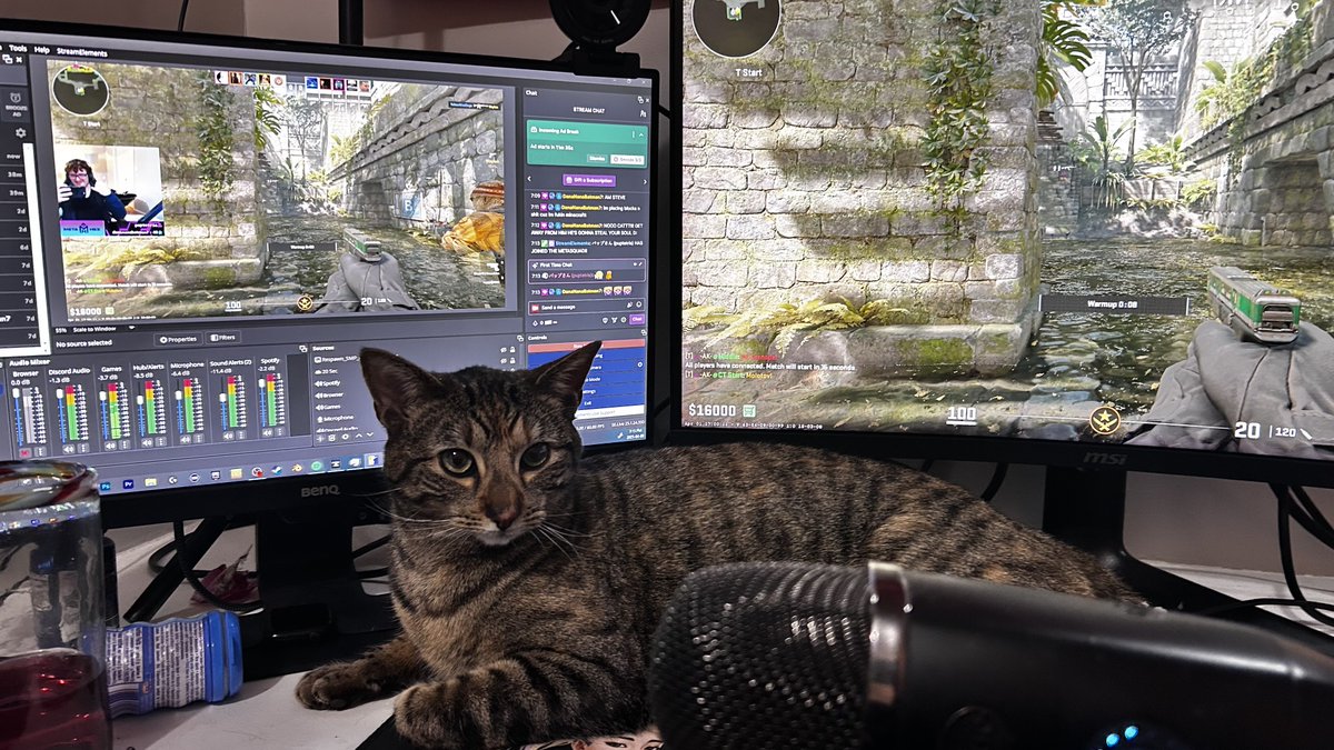 MetaHex_'s tweet image. This cat is my favourite out of the cats I have had.

Crouton! I LOVE YOU!! #Canada