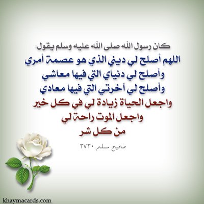 عاشق الصالح (@alsalh_ashq) on Twitter photo 
