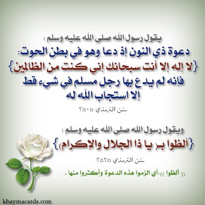عاشق الصالح (@alsalh_ashq) on Twitter photo 
