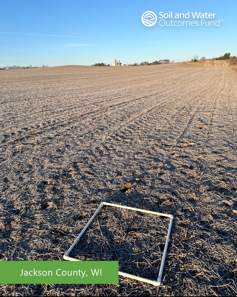 More #FridayFieldPhotos as enrolled farmers from WI and ND show off some great #notill and #verticaltill fields. Improve #soilhealth + water infiltration and retention and prevent erosion. Save on fuel, equipment, and labor. ▶️ theoutcomesfund.com
#farmlife #farm4profit