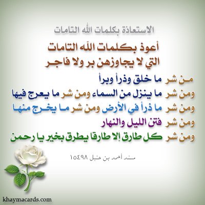 عاشق الصالح (@alsalh_ashq) on Twitter photo 