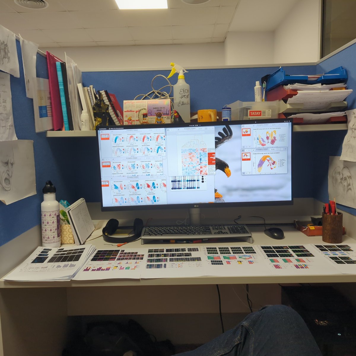 Uff, histological part of the thesis done.
Two months to analyse something decent of the single cell data before submitting thesis for evaluation.
Not the best odds 😬
🫩☠️