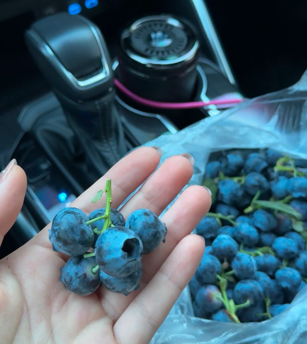 Some days feel like wild berries—unexpected, sweet, and a little messy.
<a href="/boundless_xyz/">Boundless</a>