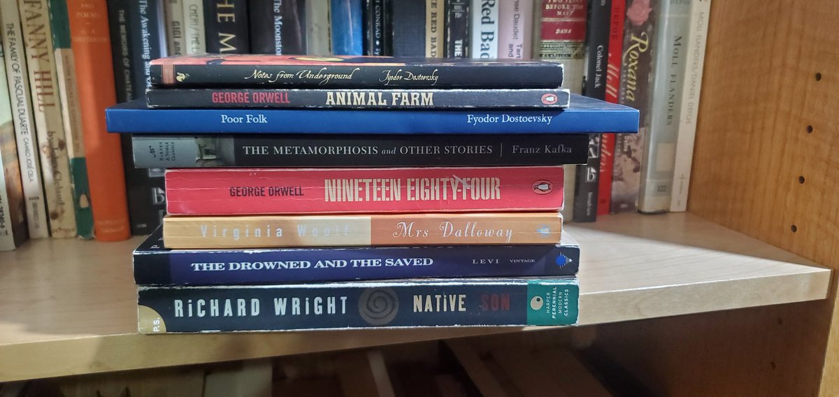 BarelyBook's tweet photo. Just some new arrivals at Barely Bruised Books. 😉🥰
Barely Bruised Books is located at 315 Wilbrod st, Ottawa, ON. 
Open Mon-Fri 11am-7pm.
Sat noon-7pm. Sun 11am-6pm. 
Milo the Cat Manager and I are looking forward to finding you a wonderful read. 😻 https://t.co/IsbiF7Co80