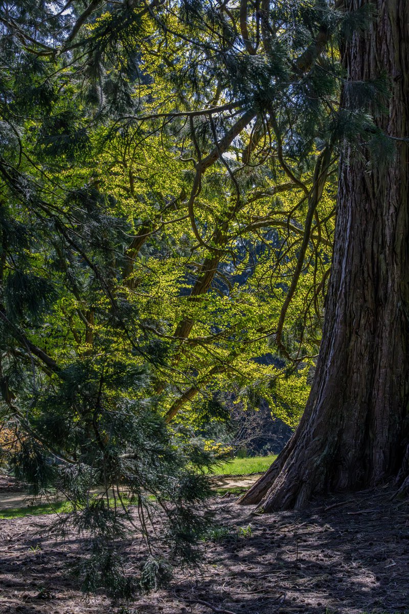 Greg Charman (@gregory_b_c) on Twitter photo 