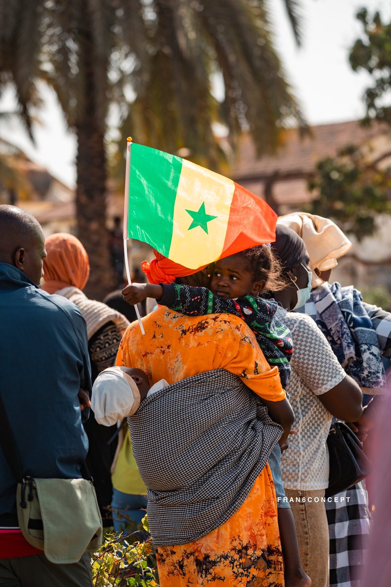 Fran6Concept tweet media