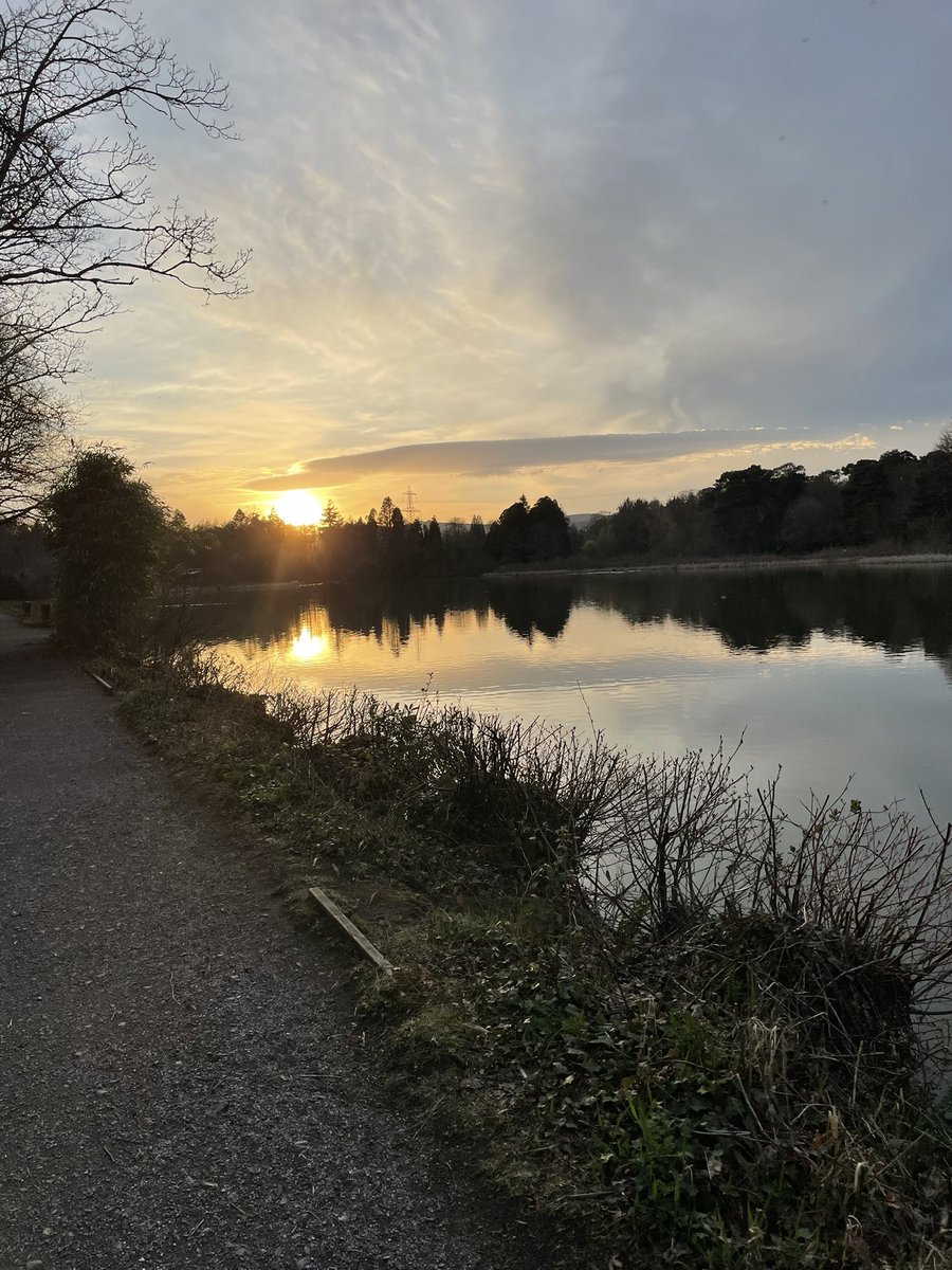 1974JCS's tweet photo. Started the Easter Holidays with an evening walk around Stover #dogs #Stover #Devon #Friday https://t.co/E5Oxbqj5Ag