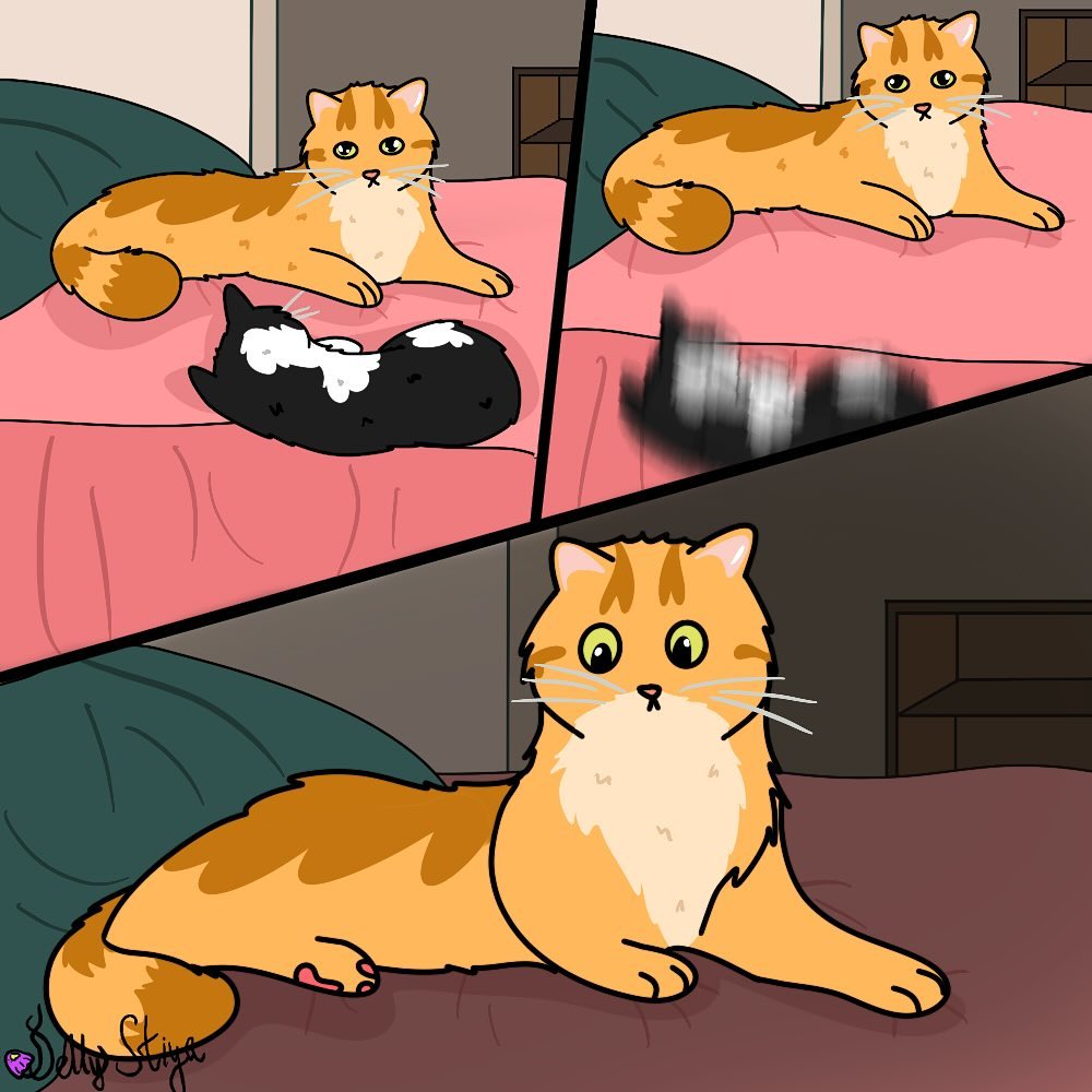 Catsillyness's tweet photo. ㅤ https://t.co/9064PHSuzd