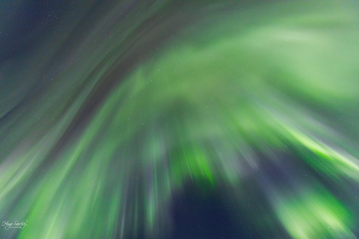 Hugo Sanchez tweet media