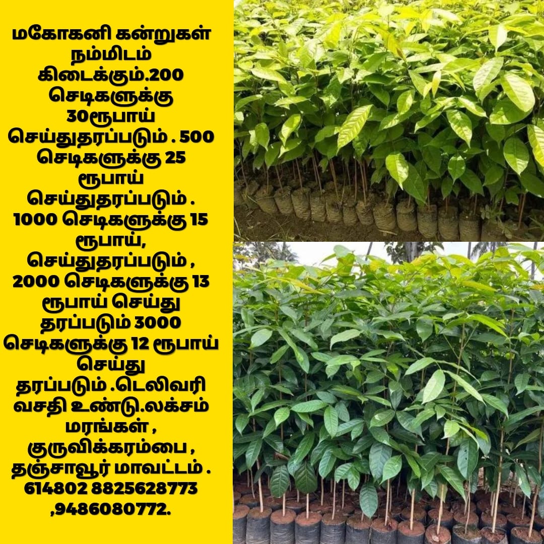 LakshsamG's tweet photo. All important videos from our youtube 
https://t.co/nzDhXWC7vG
shorts videos for our channel
https://t.co/yiauBjA7yi 
Playlist all types of Trees
https://t.co/l9nxGgotTu

Google map: https://t.co/12ebTnI7zD https://t.co/PJxCfZ1atS