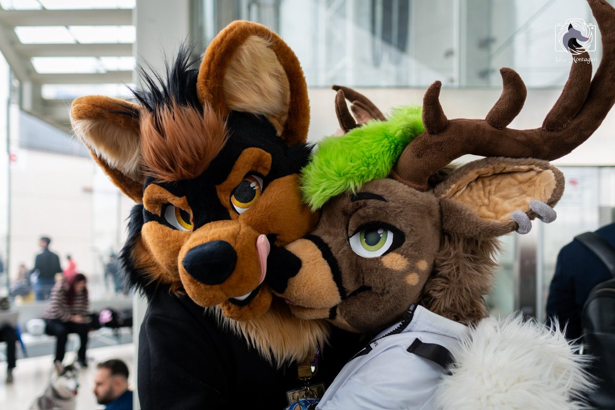 TIA (@doggotia) on Twitter photo Me and <a href="/TheDeerSeishin/">The_Deer_Seishin ๐NFC๐ธ๐ช</a> would like to know you better ๐
#FursuitFriday
#fursuit #fursuiting #fursuiters #furryfandom
๐ธ<a href="/MontagutiLuca/">MontagutiLuca</a>
My suit : <a href="/TheKarelia/">TheKareliaFursuits ๐ Dokomi, EF29, Furnavia.</a> Me and <a href="/TheDeerSeishin/">The_Deer_Seishin ๐NFC๐ธ๐ช</a> would like to know you better ๐
#FursuitFriday
#fursuit #fursuiting #fursuiters #furryfandom
๐ธ<a href="/MontagutiLuca/">MontagutiLuca</a>
My suit : <a href="/TheKarelia/">TheKareliaFursuits ๐ Dokomi, EF29, Furnavia.</a>