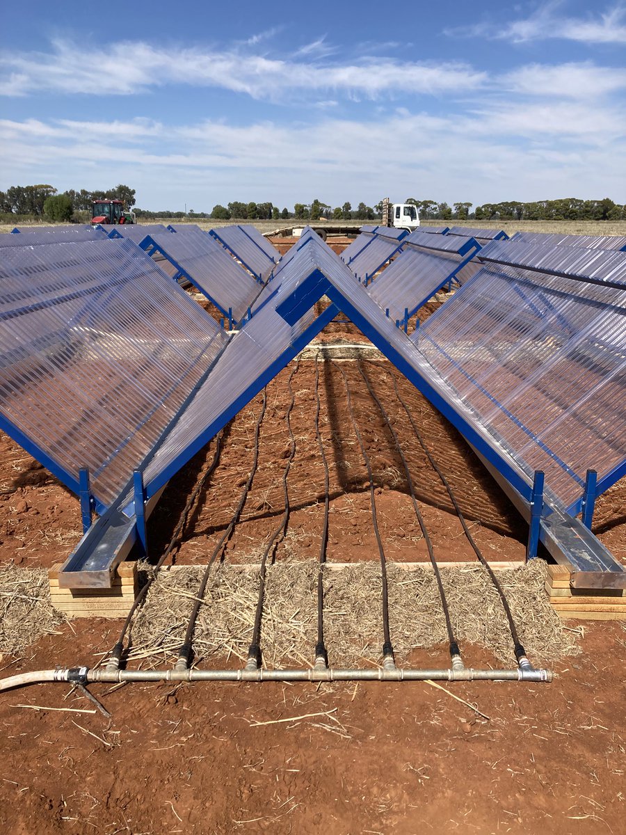 Colin McMaster tweet media