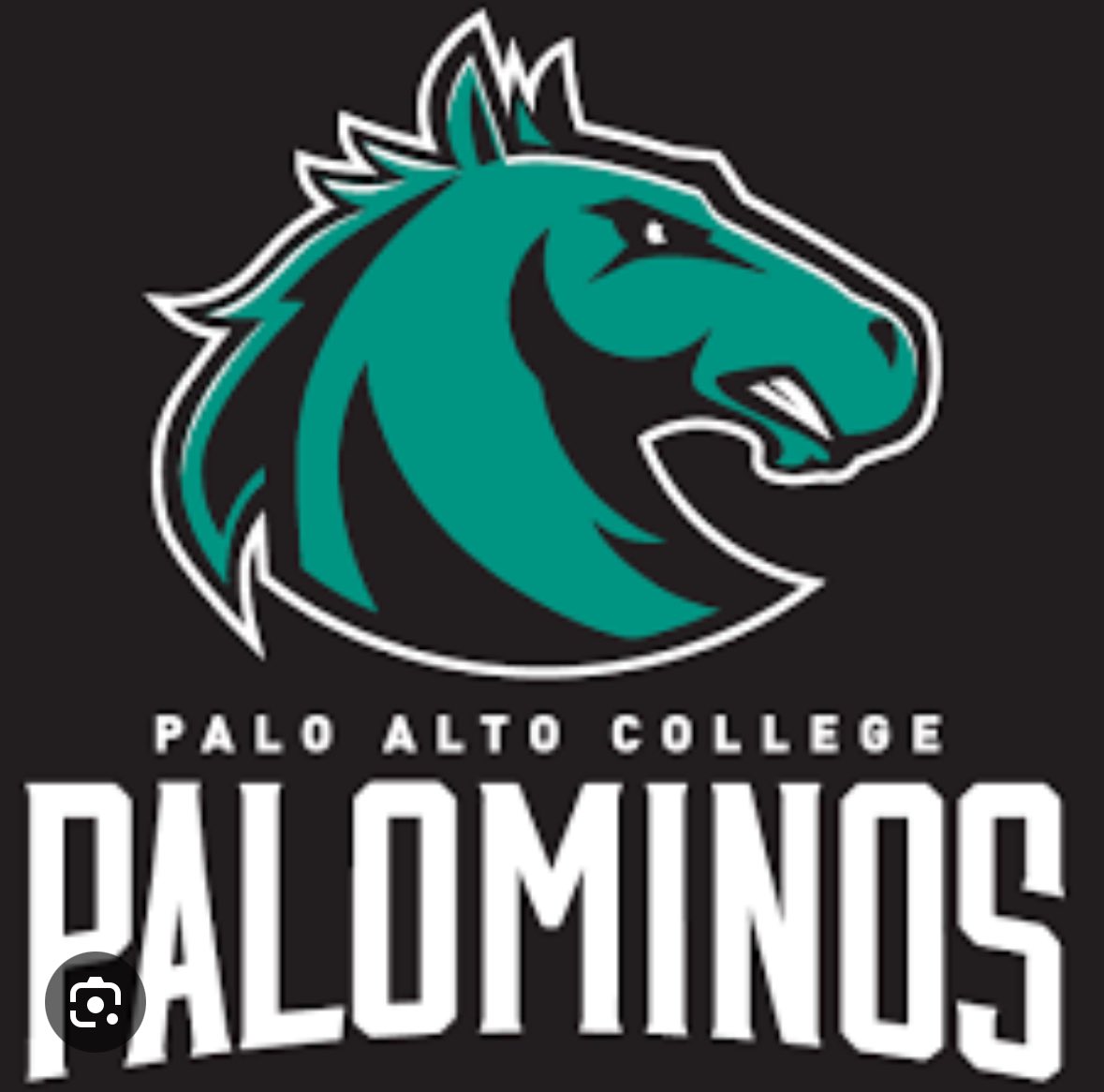 Braydan Cooper (@cooper_braydan) on Twitter photo #AGTG, After a great workout and visit with Coach Green and the staff, I am very blessed to receive my 1st Offer from Palo Alto Juco!!! <a href="/PACAthleticsSA/">PAC.Athletics</a> #AGTG, After a great workout and visit with Coach Green and the staff, I am very blessed to receive my 1st Offer from Palo Alto Juco!!! <a href="/PACAthleticsSA/">PAC.Athletics</a>