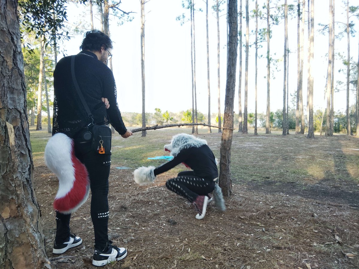 How do you limbo?

#Fursuitfriday #Floridafurs #Floridafurmeet #Furmeet #Furey #Fursuitfridays #SunFurs #Floridafurry #Orlandofur #Tampafur