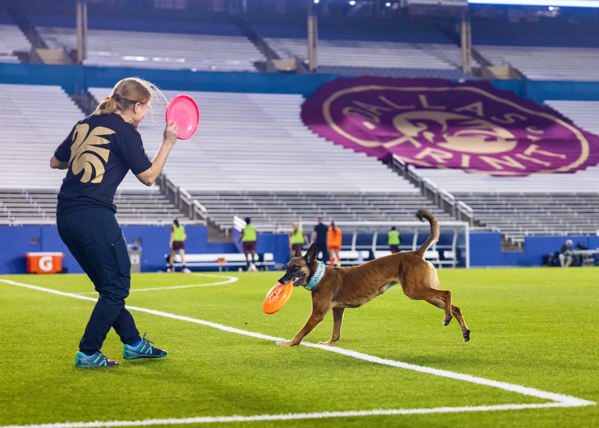 dallastrinityfc's tweet photo. Had a fur-tastic time at Pups at the Pitch! Big thanks to everyone who came out to show their support! https://t.co/TEcTv1SZwG