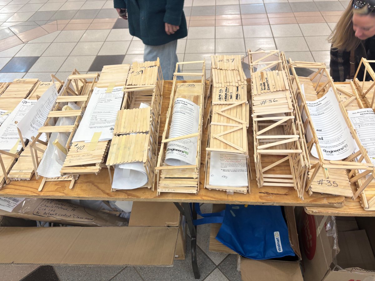 We are at Royalty Crossing Mall for our 30th Annual Bridge Building Contest!