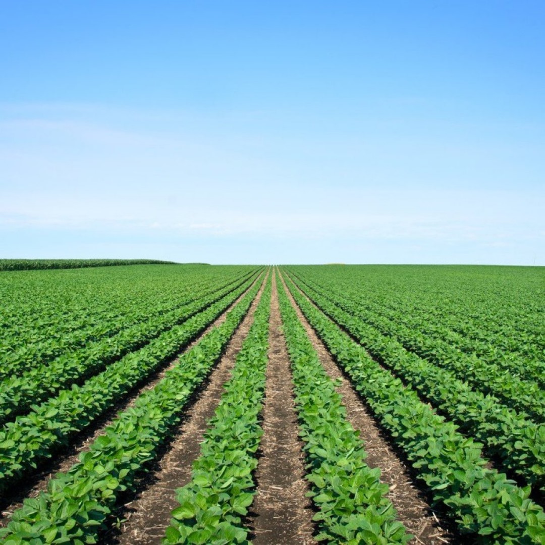 Right Cohen tweet media