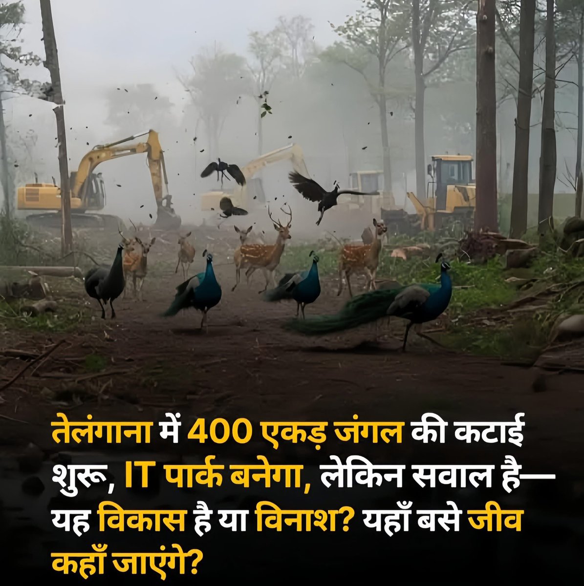 abbmsindia's tweet image. पर्यावरण को बढ़ाना चाहिए, वहीं दूसरी तरफ हम पेड़ काट रहे हैं। जिम्मेदार लोग चुप हैं। उस क्षेत्र के जानवर, पक्षियों की तस्वीरें सवाल उठाती हैं—हम उनके घर तोड़ रहे हैं जो बोल नहीं सकते वो अपने लिए न्याय नहीं माँग सकते
प्रकृति ही जिनका घर है
। #SaveTrees #saveforest #hasdevforest