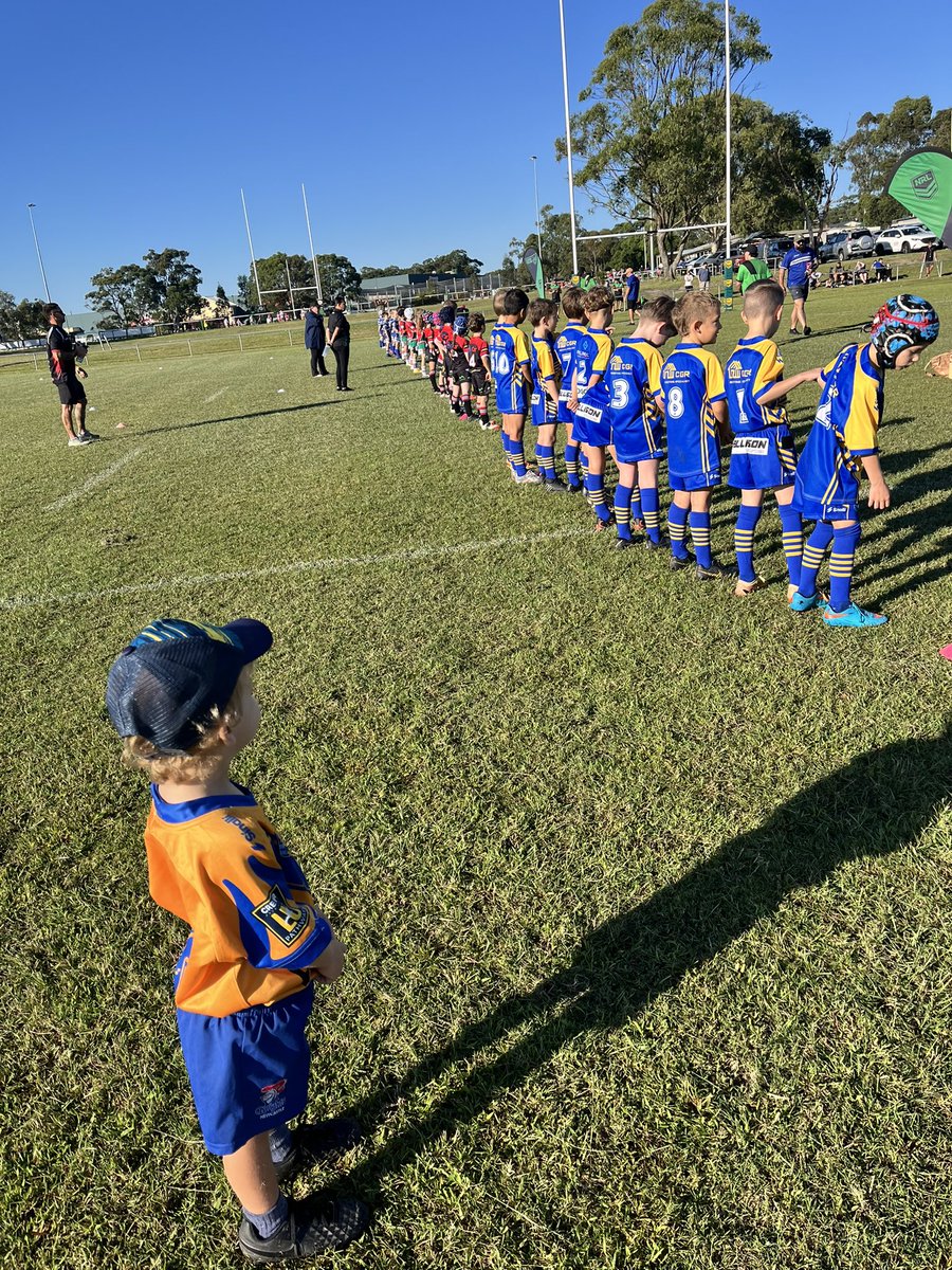 Mick Maher tweet media