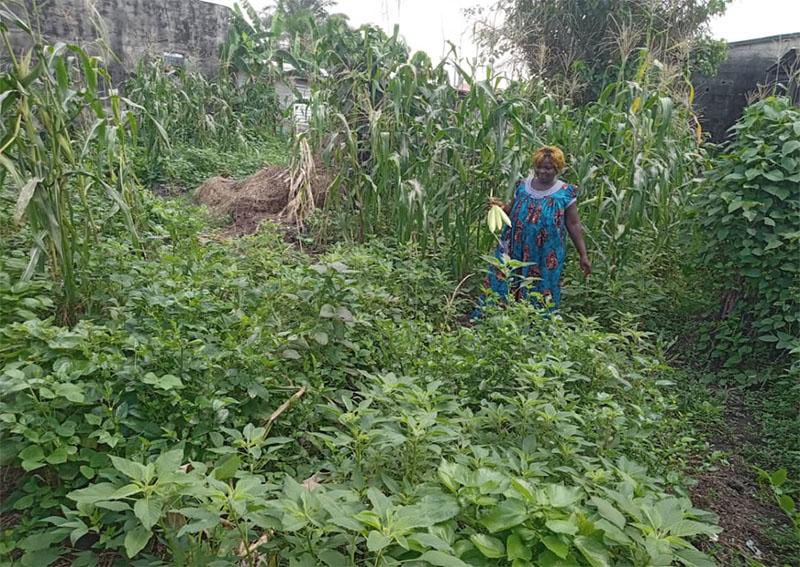 [Relire] « Je cueille tout dans mon jardin » : avec les maraîchères bio de Douala

agripreneursdafrique.com/article/je-cue…