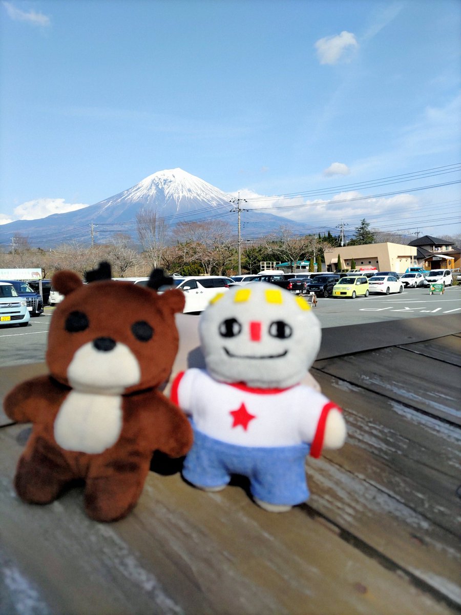 komb__uuu's tweet photo. 春のカン祭り🀒
富士山と🦌🌟 https://t.co/qsxllU4Z6I