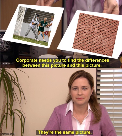 Charlotte Women's Lacrosse tweet media