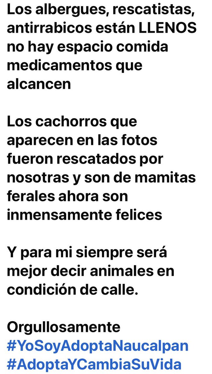 Adoptame Naucalpan tweet media