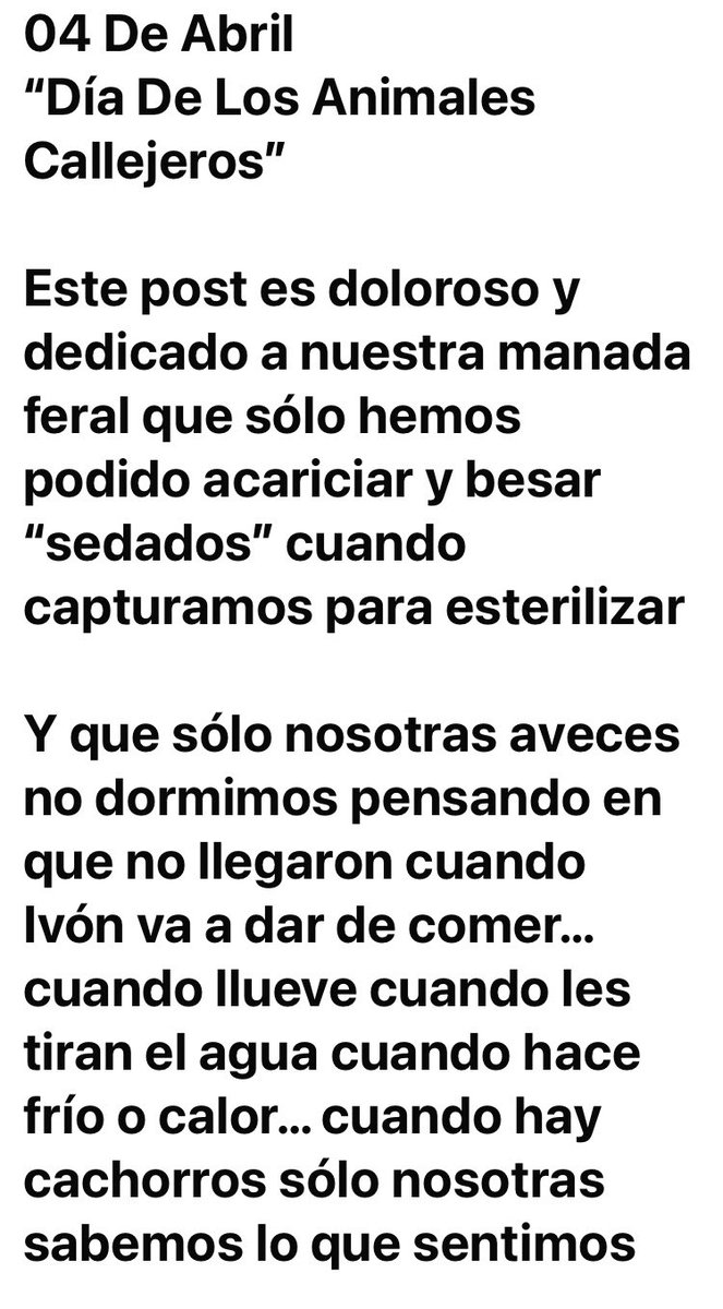 Adoptame Naucalpan tweet media