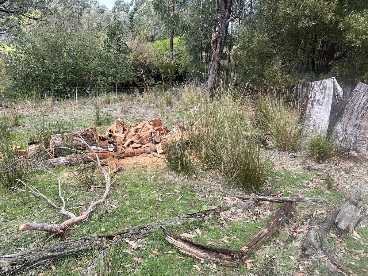 Thunder Hill Estate™️ tweet media