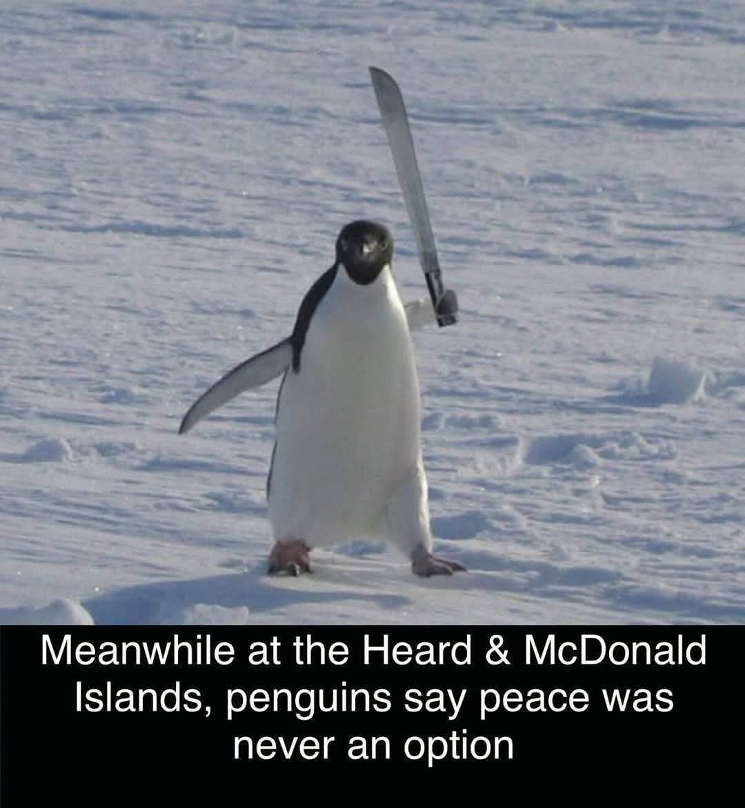 Sharing my Trump vs. Penguins memes: #PenguinsAgainstTrump #PenguinTariffs  #penguingate