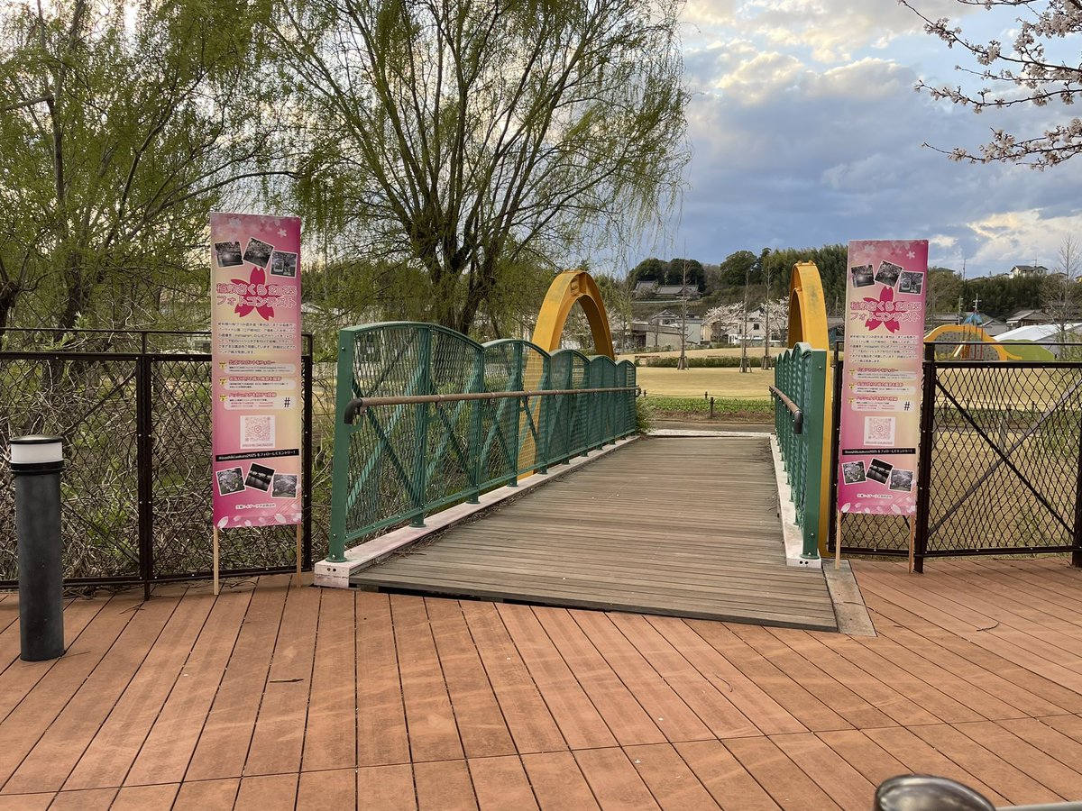 ina_labo2024's tweet photo. 「稲敷桜まつり」本日から2日間開催です！Instagramでフォトコンテストもスタートしました！新利根桜づつみ遊歩道にも
立て看板を設置させていただきました。新利根桜づつみ遊歩道での桜は #azuma2025 江戸崎リバーサイド公園の桜は #edosaki2025 上記のハッシュタグを付けてインスタにアップ！ https://t.co/KdhLb082Mj