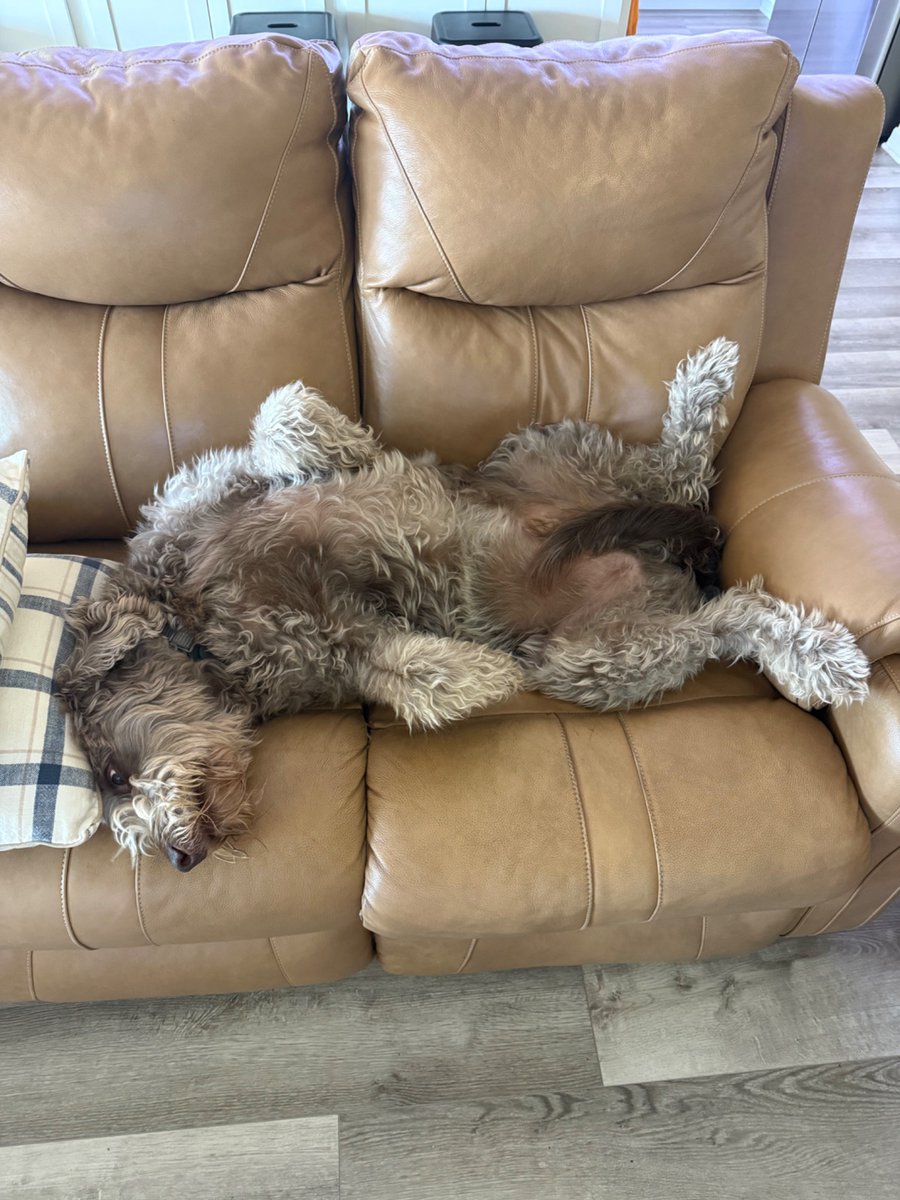 One of those days…