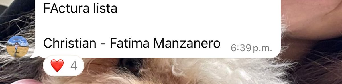 Fátima Manzanero tweet media