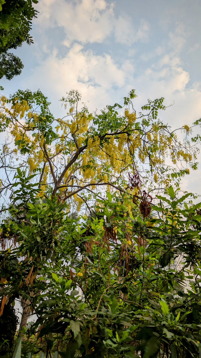 Good morning, Friends