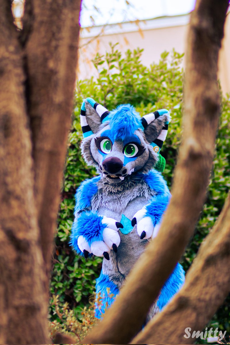 Stormy Fluff ⛈️ tweet media