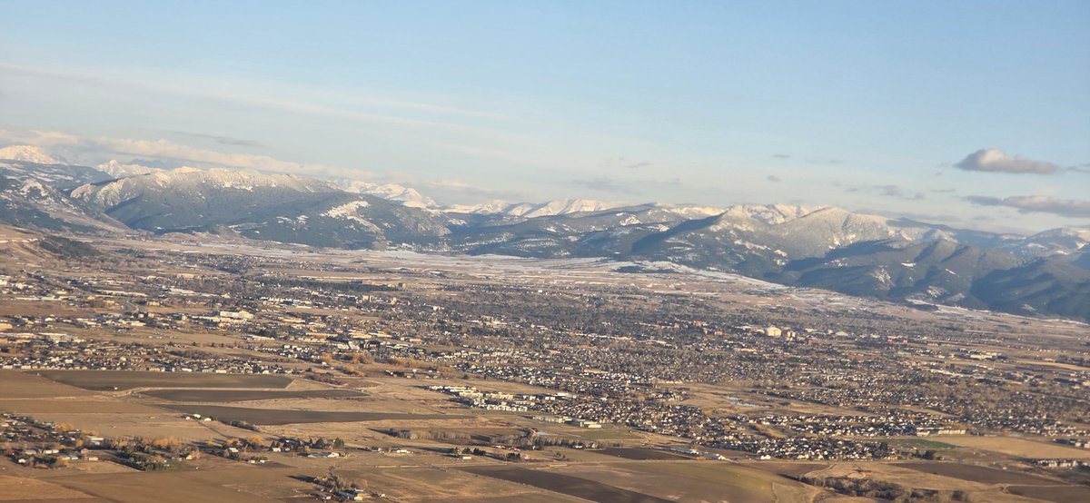 David Phipps tweet media