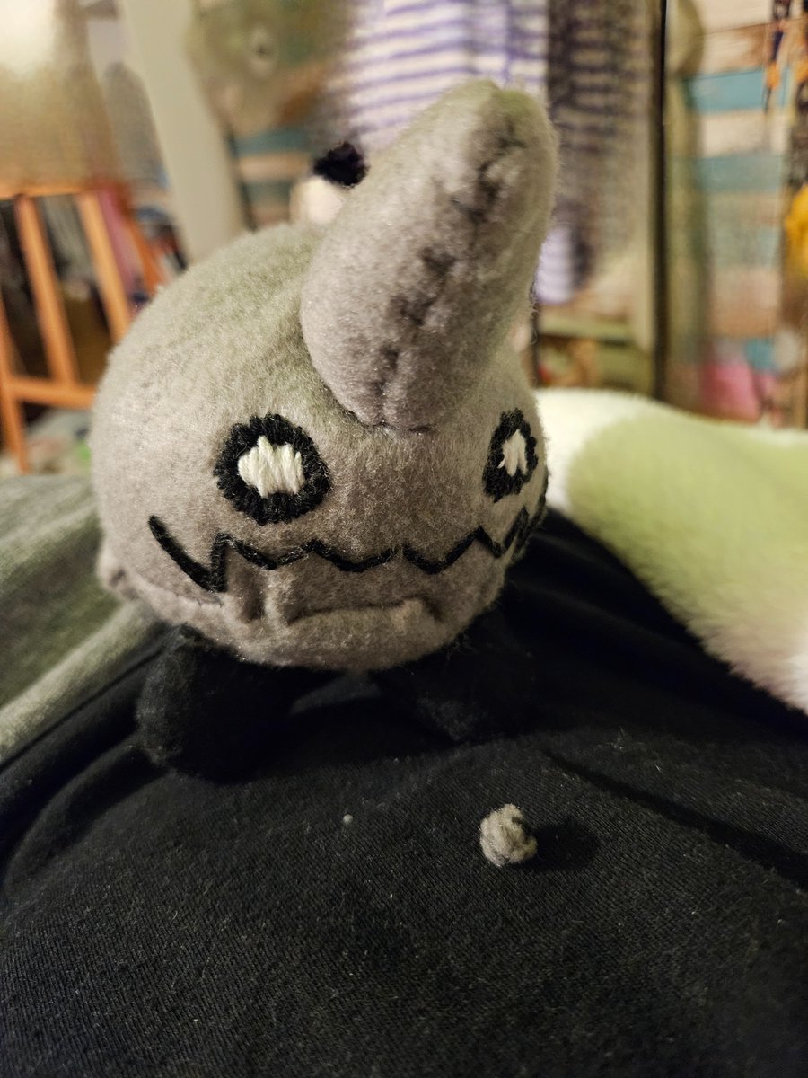 Remember to trim your Alphonse every month so he doesnt turn into a dust bunny