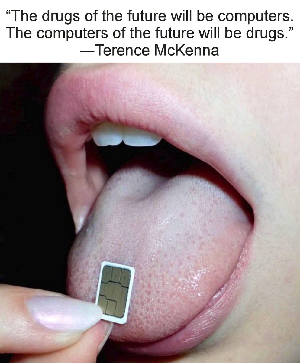 APsychedelics's tweet image. Love this Terence McKenna quote 🧙‍♂️