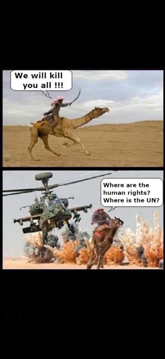 aclownin1's tweet photo. @Yemenimilitary @realDonaldTrump https://t.co/OuNeNVr85v