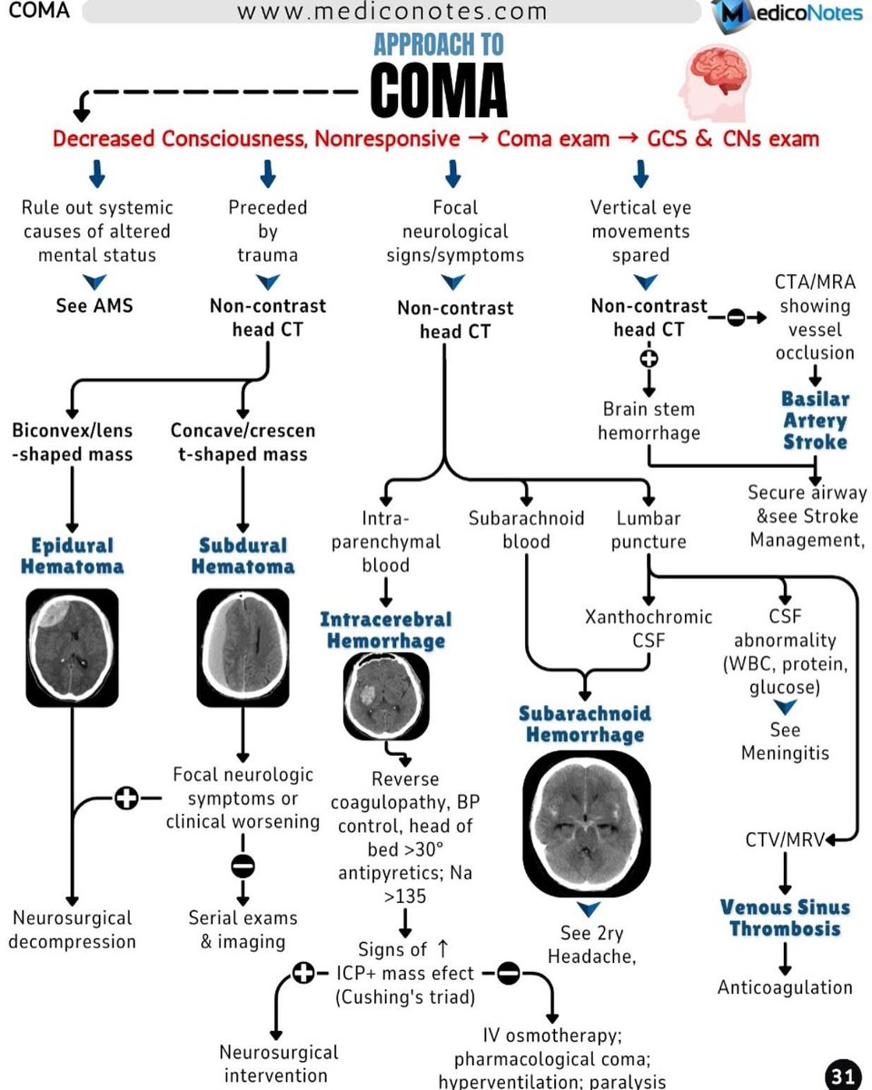 OGdukeneurosurg's tweet image. Approach to coma