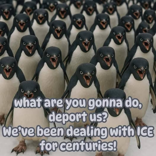 PamelaApostolo1's tweet image. LOL!!